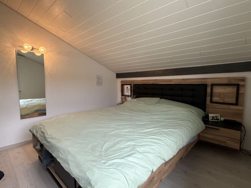 Charming house with 3 apartments, garden and pool (11)