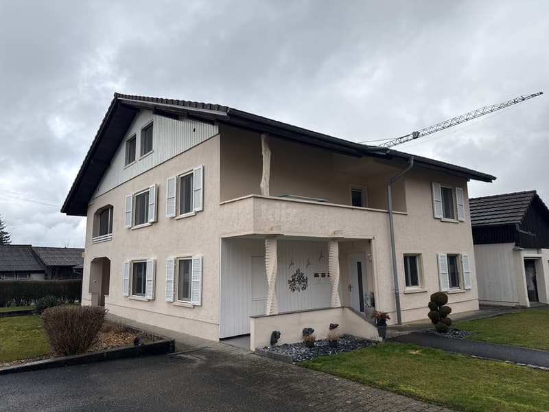 Charming house with 3 apartments, garden and pool (12)
