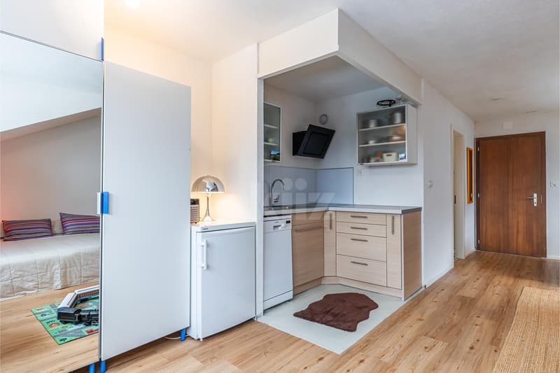 Ideal studio for mountain stays (5)