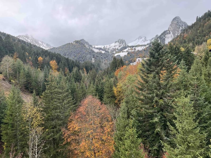 Ideal studio for mountain stays (11)