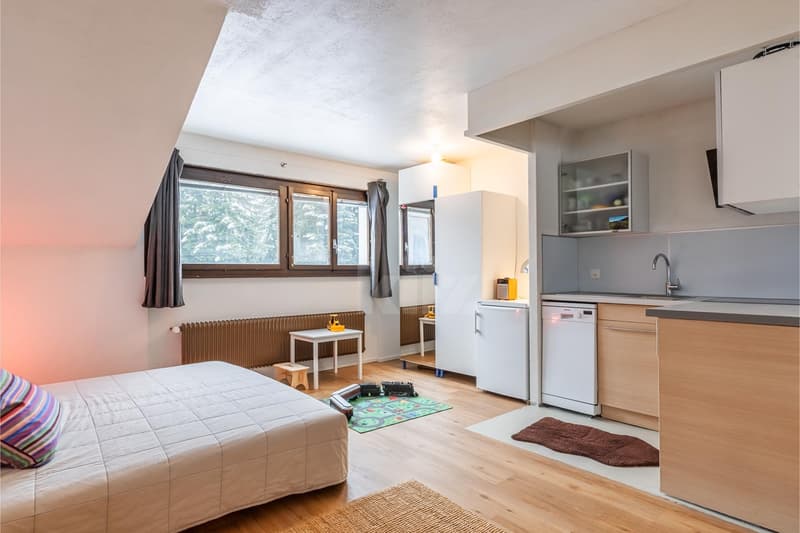 Ideal studio for mountain stays (1)