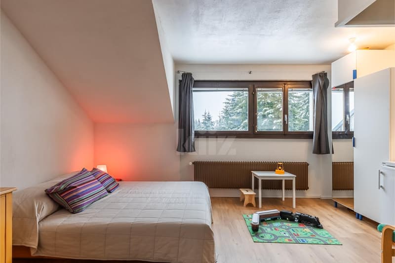 Ideal studio for mountain stays (2)