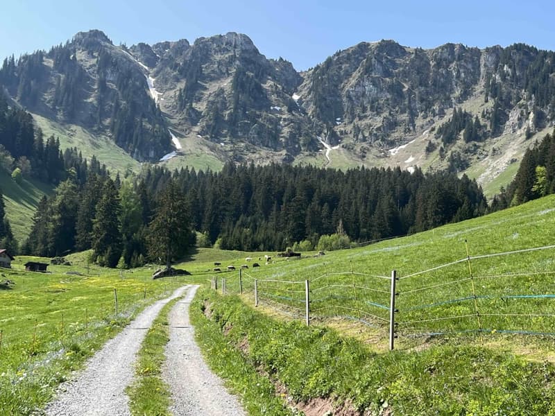 Ideal studio for mountain stays (12)