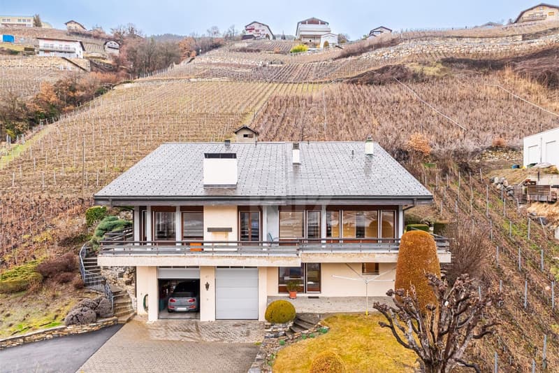 Magnifica villa individuale con studio indipendente (12)