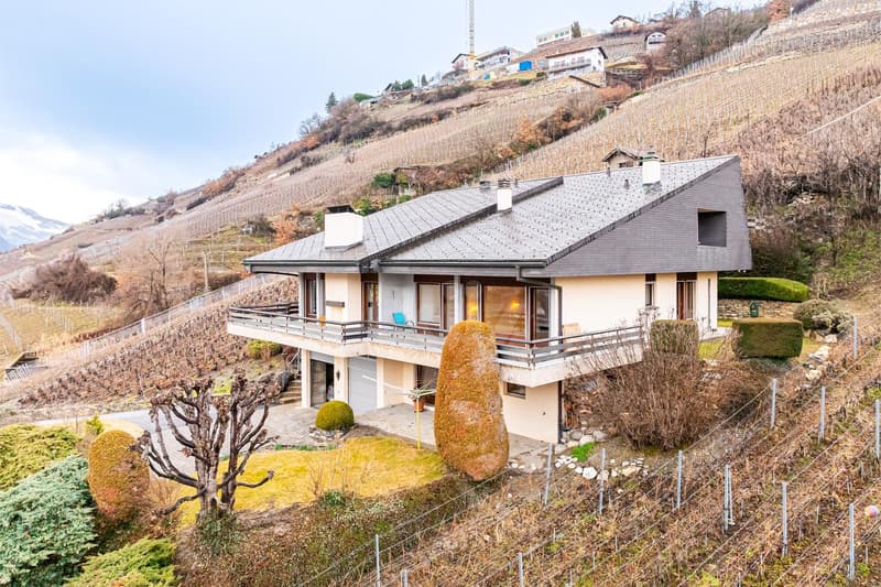 Magnifica villa individuale con studio indipendente (1)