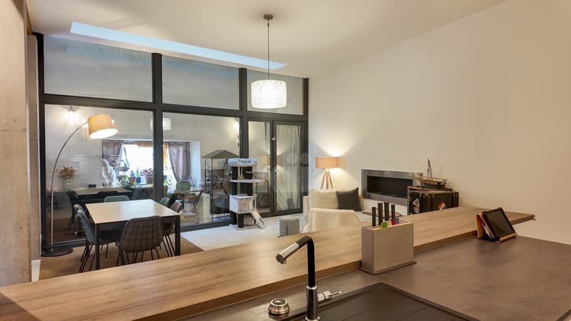Splendid recent house with terraces and garden (2)