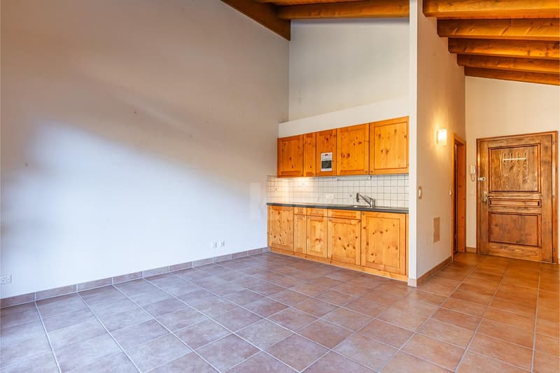 Beautiful studio with balcony and open view (5)
