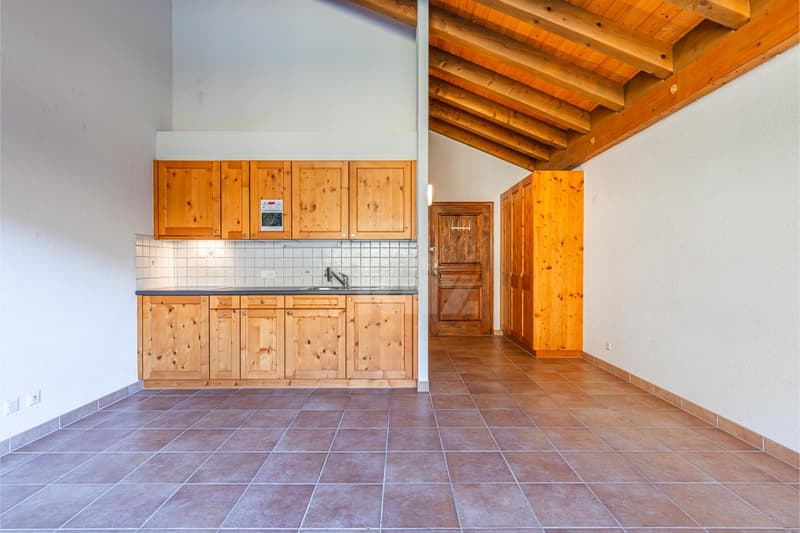 Beautiful studio with balcony and open view (3)