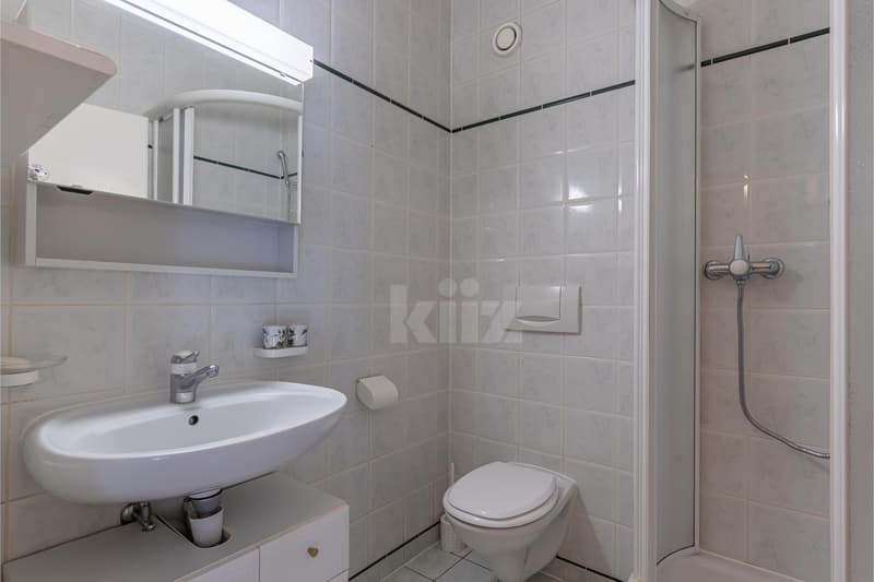 Charming apartment with terrace and private garden (10)