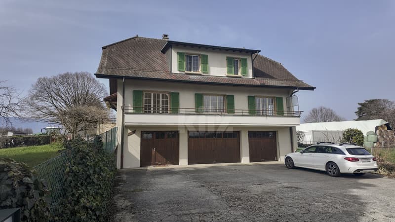 Charming house with two apartments (12)