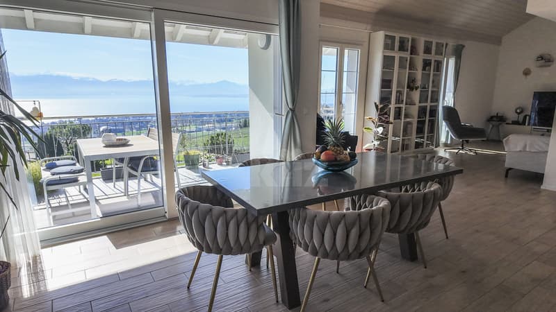 Splendid recent duplex with large balcony and panoramic view (1)