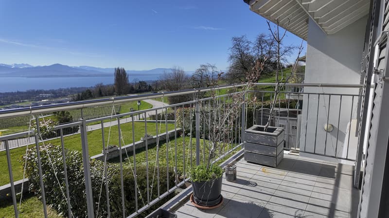 Splendid recent duplex with large balcony and panoramic view (2)