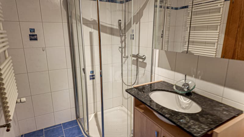 Charming village house with great potential (5)