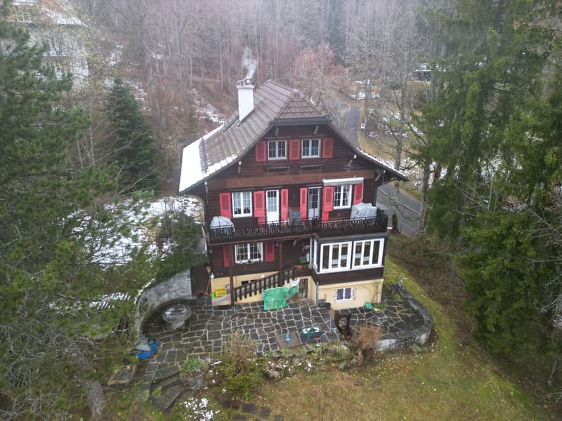 Charming house with two apartments and garden (12)
