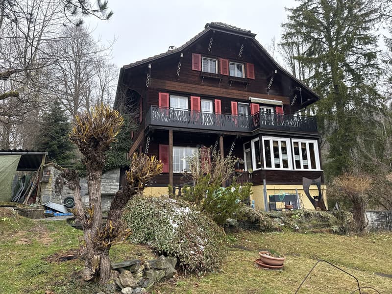 Charming house with two apartments and garden (1)