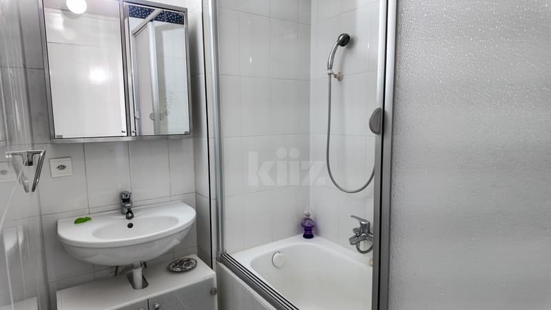 Charming duplex with garden and view of lake and mountains (10)