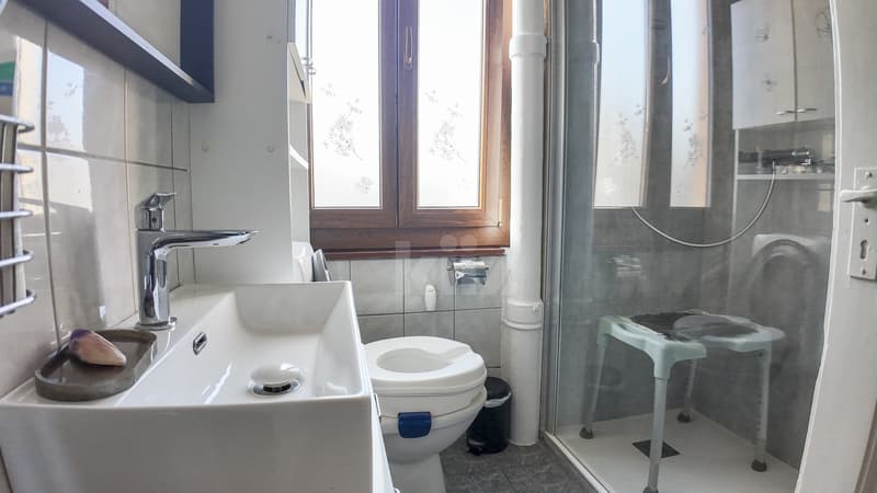Charming house with 3 apartments close to the city center (5)
