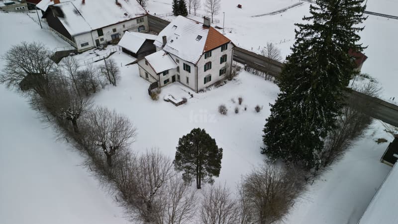 To renovate! Charming individual villa (1)