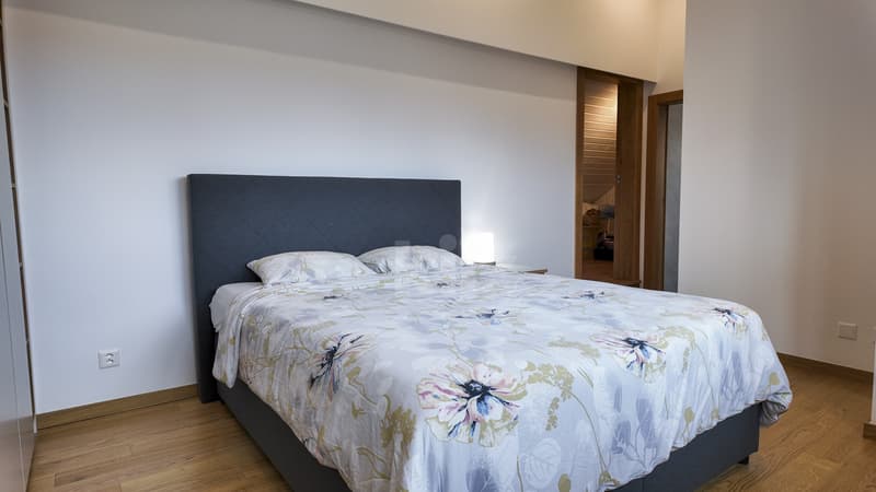 Beautiful individual house, completely renovated (6)