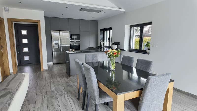 Beautiful individual house, completely renovated (3)