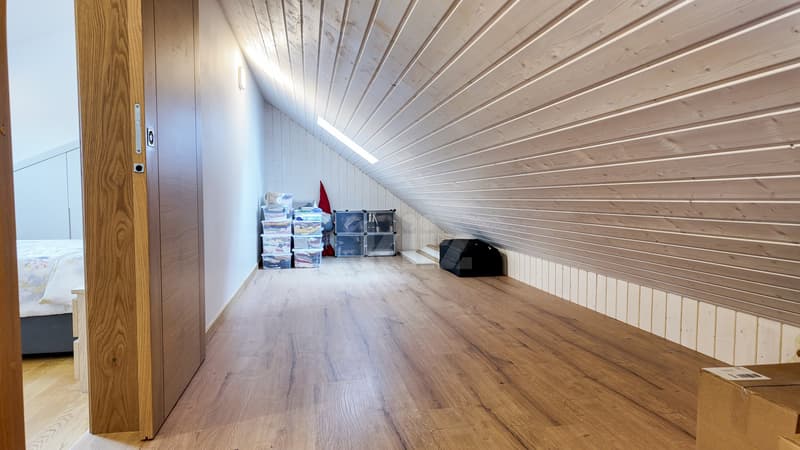 Beautiful individual house, completely renovated (7)