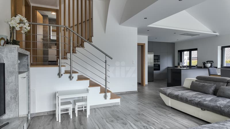Beautiful individual house, completely renovated (2)