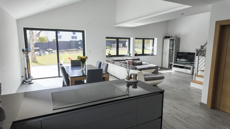 Beautiful individual house, completely renovated (5)
