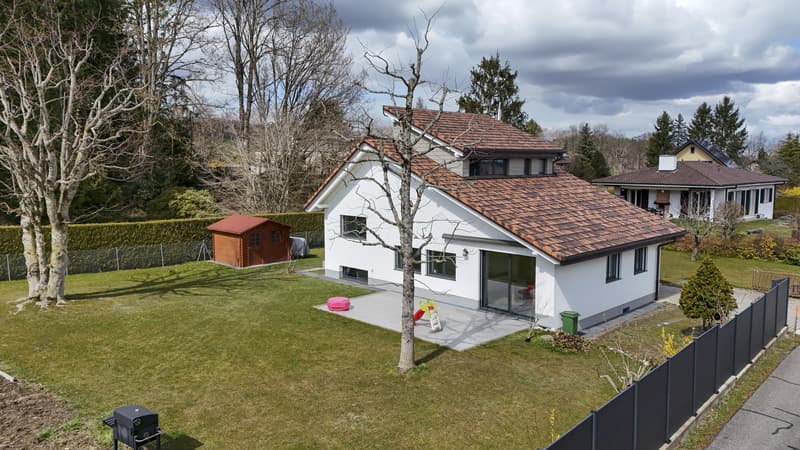 Beautiful individual house, completely renovated (12)