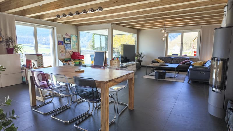 Villa spaziosa con vista libera e appartamento indipendente (2)
