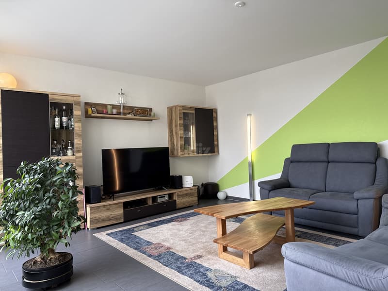 Beautiful apartment with panoramic terrace (4)