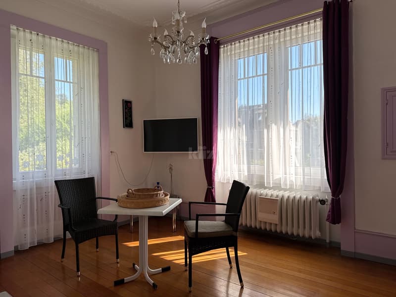 Beautiful apartment with garden in a mansion (10)