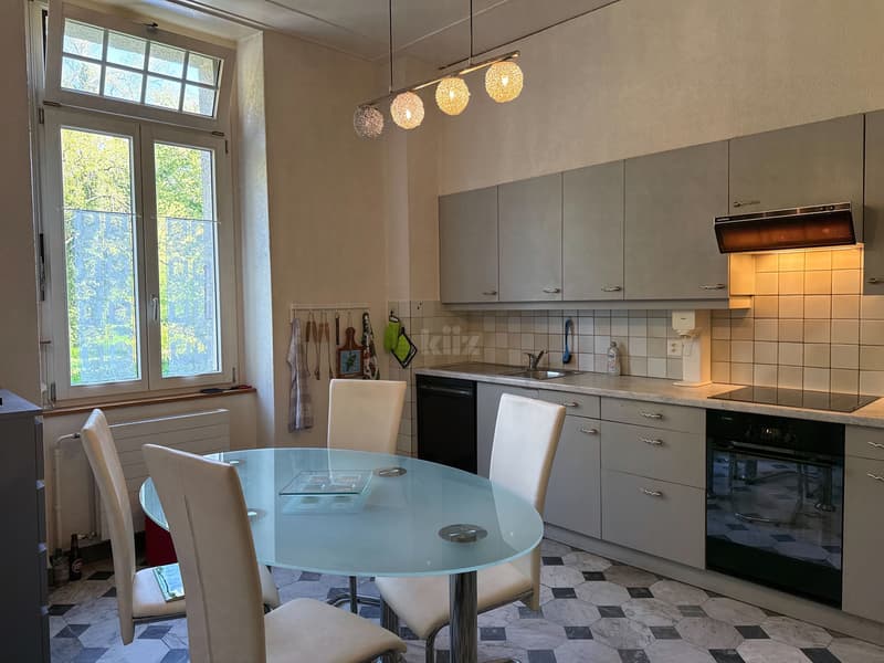 Beautiful apartment with garden in a mansion (4)