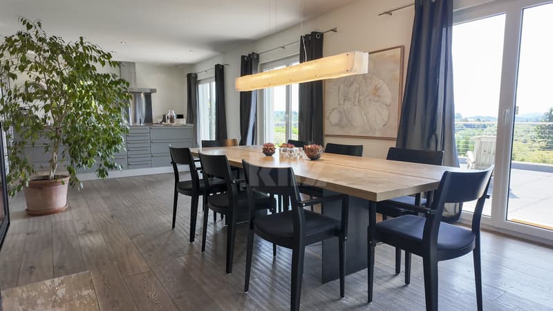 Splendid individual villa with terraces and large garden (3)