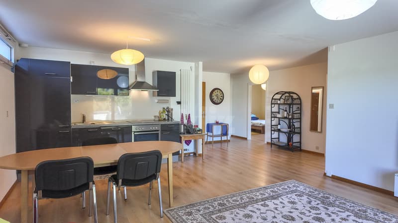 House with 3 apartments and workshops with tremendous potential (3)
