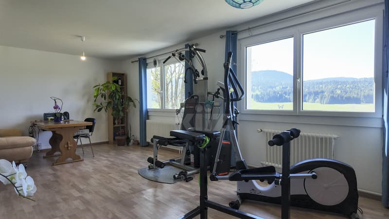House with 3 apartments and workshops with tremendous potential (8)
