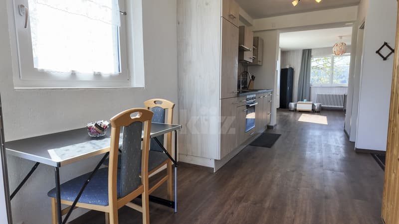 House with 3 apartments and workshops with tremendous potential (6)