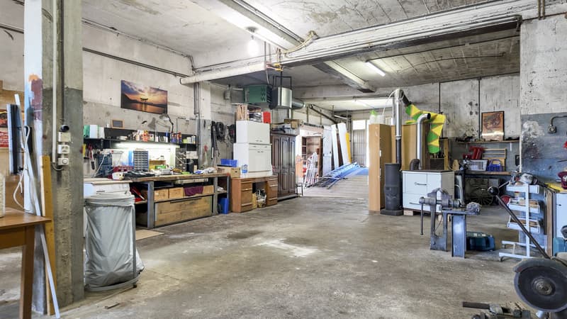 House with 3 apartments and workshops with tremendous potential (10)