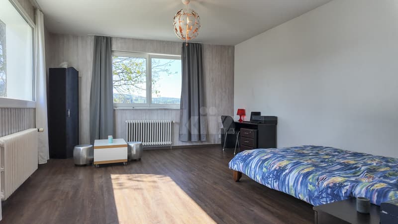 House with 3 apartments and workshops with tremendous potential (7)