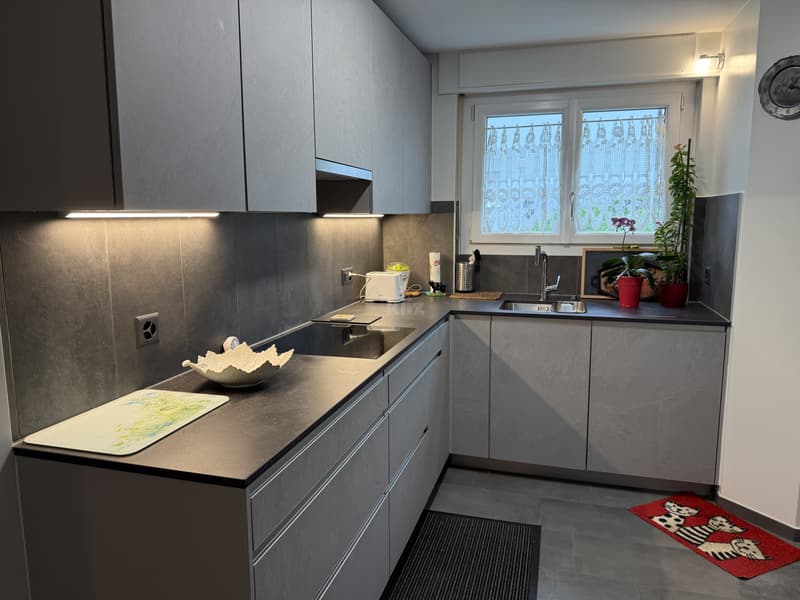 Beautiful apartment with covered terrace and garden (6)