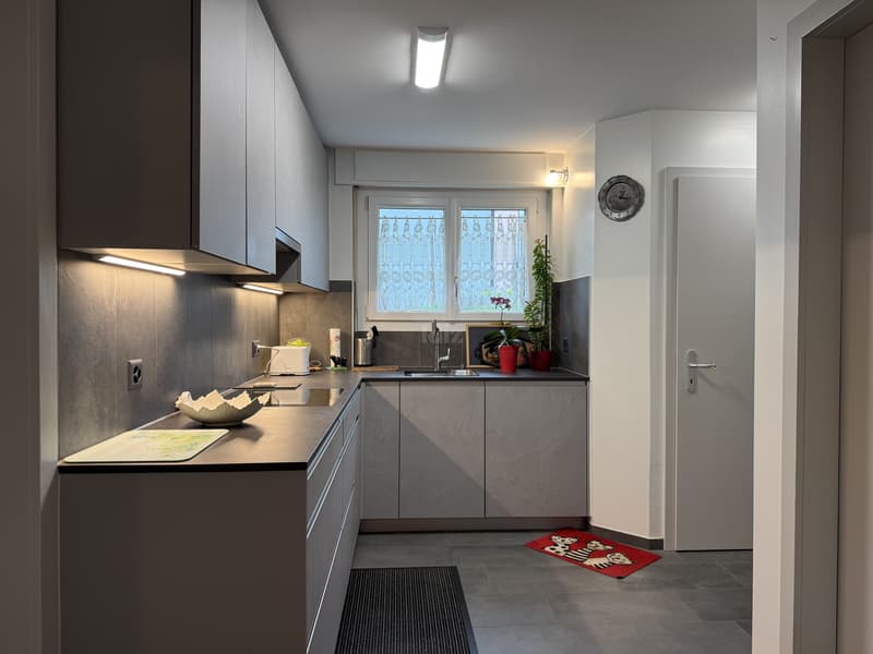 Beautiful apartment with covered terrace and garden (7)