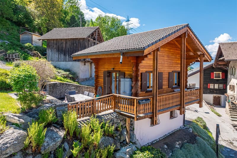 Charming chalet with terrace, garden and open view (1)