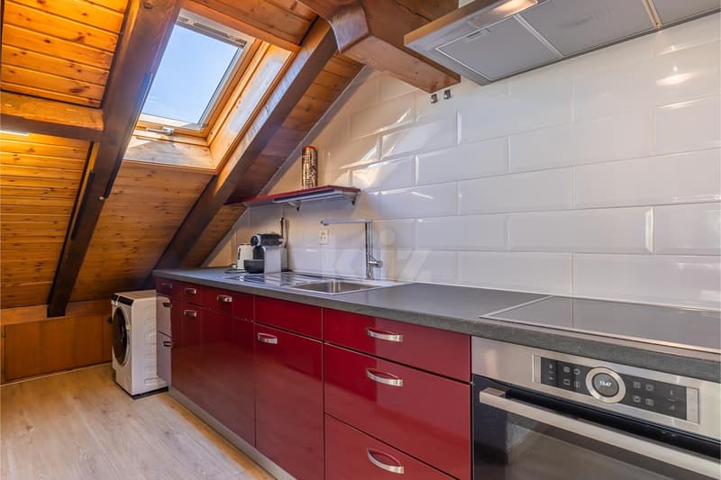 Charming apartment with mountain view and large balcony (5)
