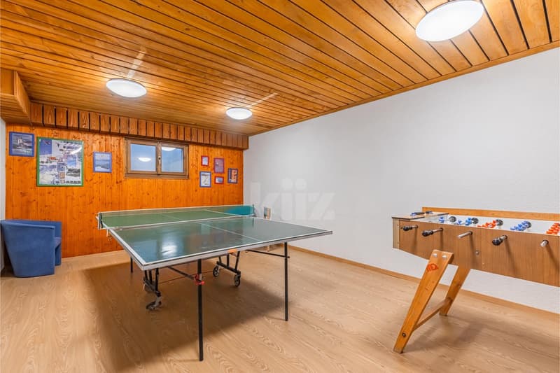 Charming apartment with mountain view and large balcony (10)