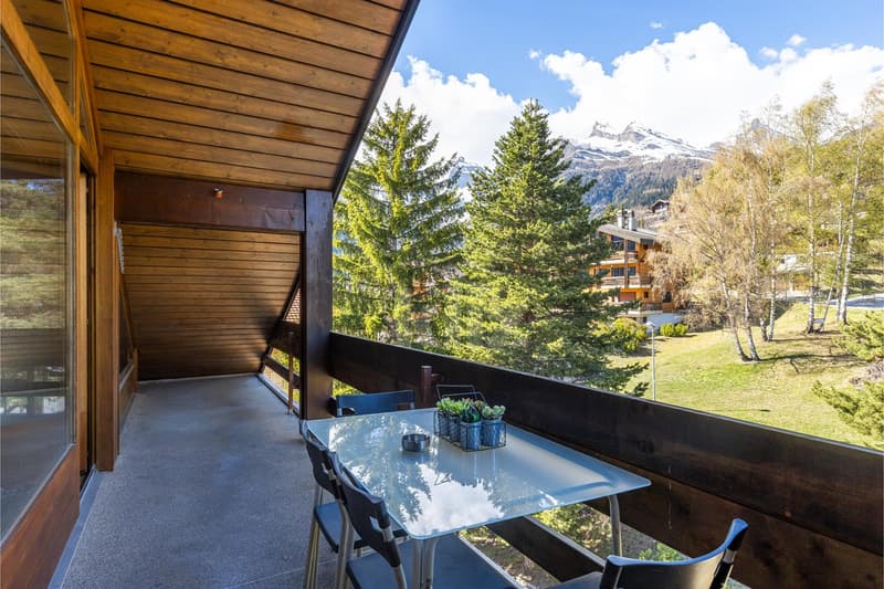 Charming apartment with mountain view and large balcony (4)