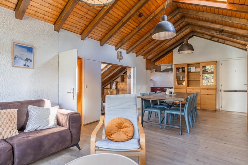 Charming apartment with mountain view and large balcony (2)