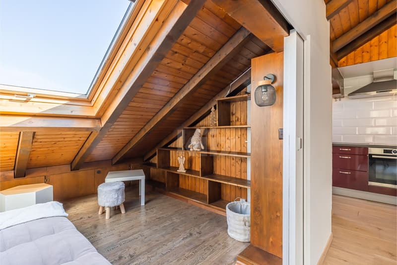 Charming apartment with mountain view and large balcony (6)