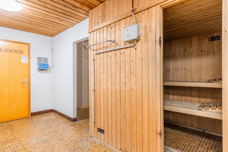Charming apartment with mountain view and large balcony (11)