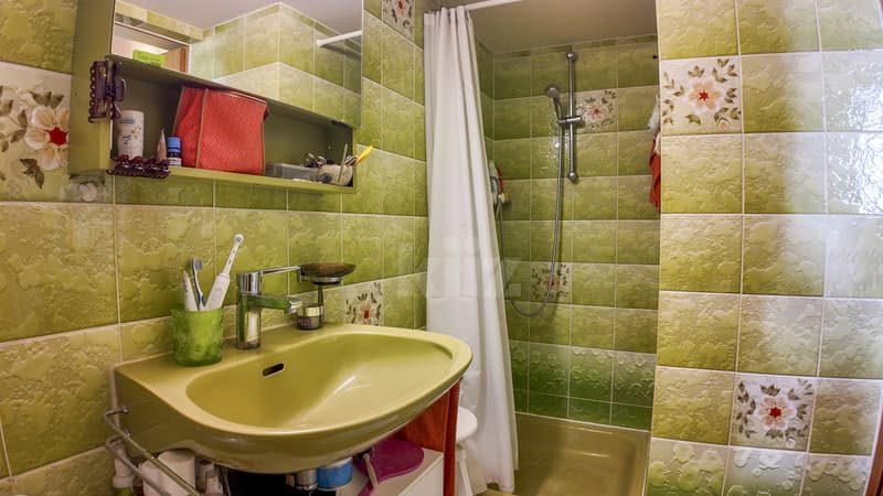 Charming house with 3 apartments and a commercial space (4)