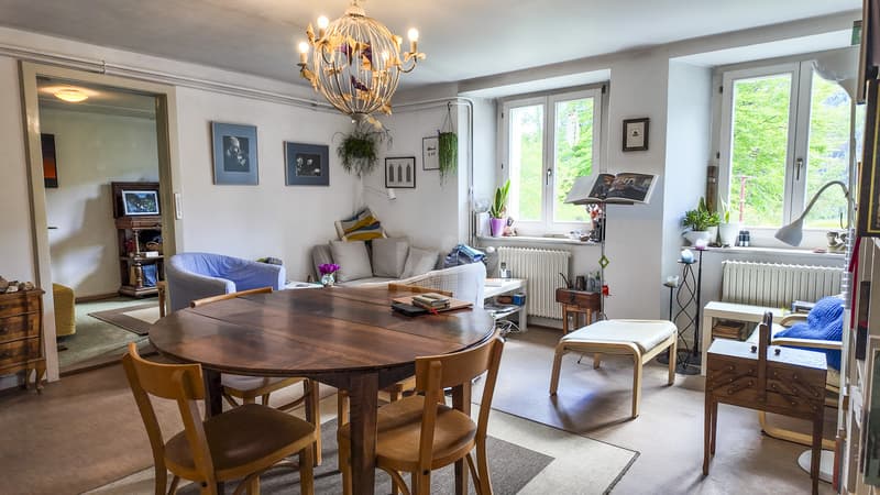 Charming house with 3 apartments and a commercial space (2)