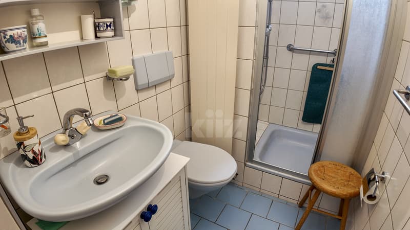Charming house with 3 apartments and a commercial space (7)